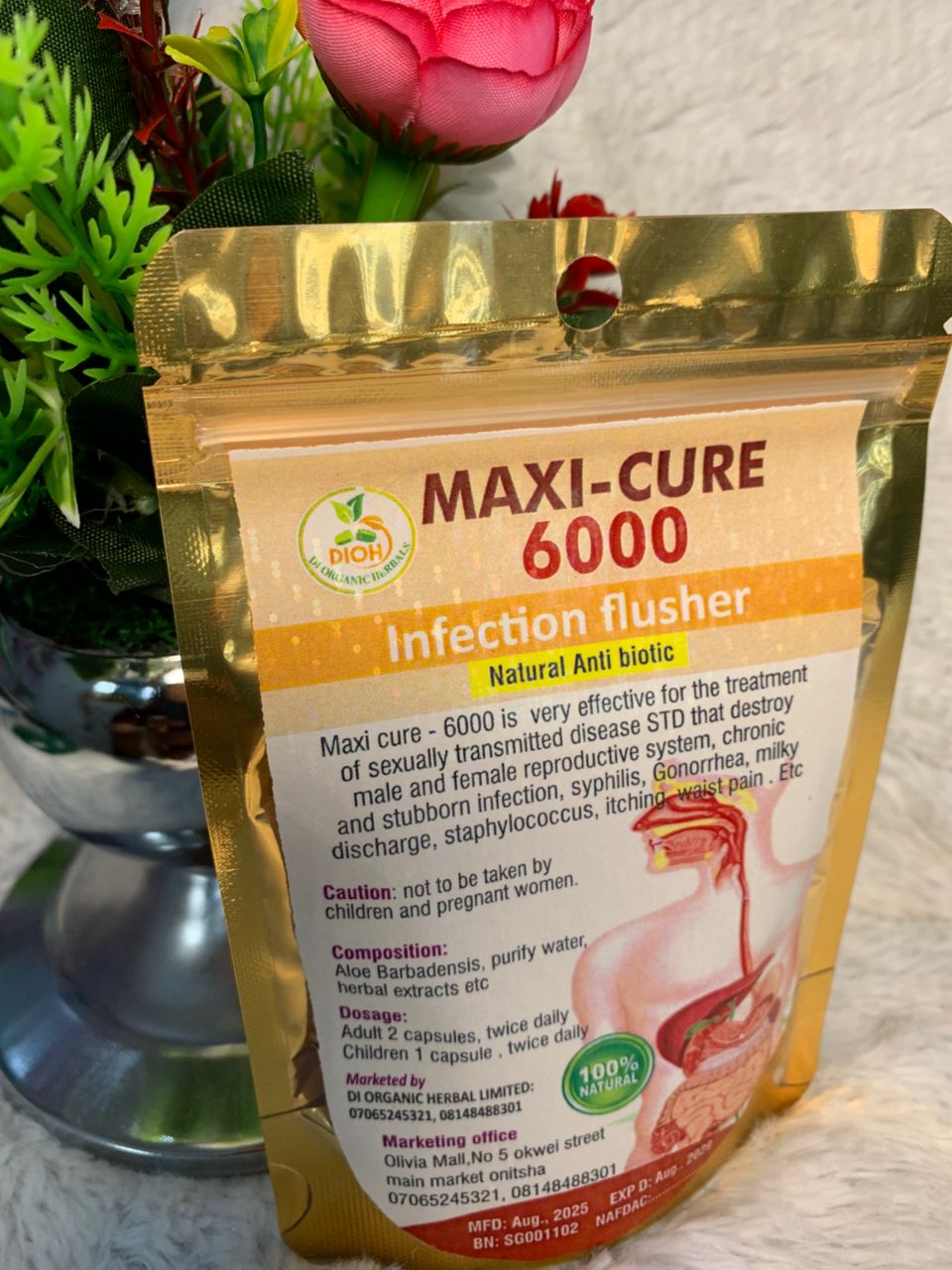 Maxi-Cure 6000